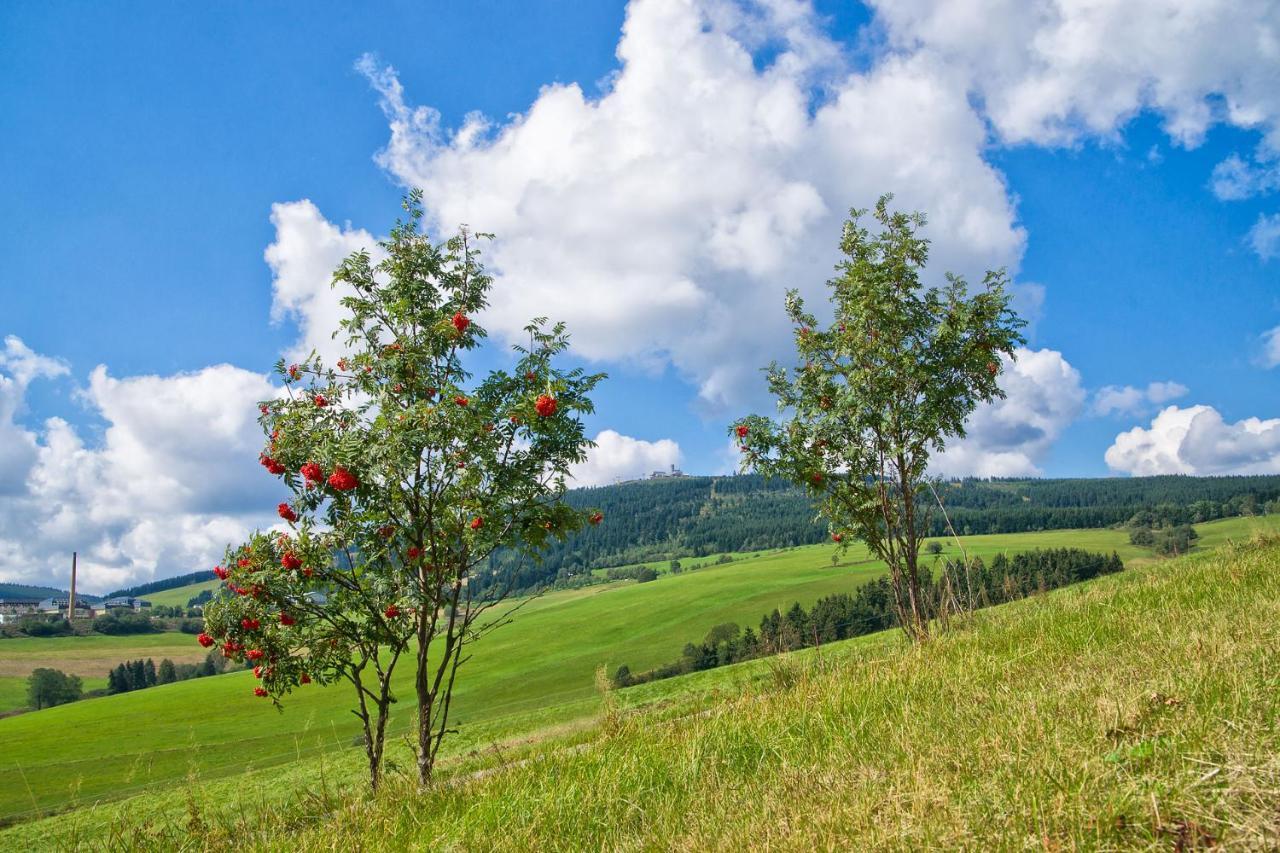 Am Roten Hammer I Gasthof Und Pension Oberwiesenthal Buitenkant foto